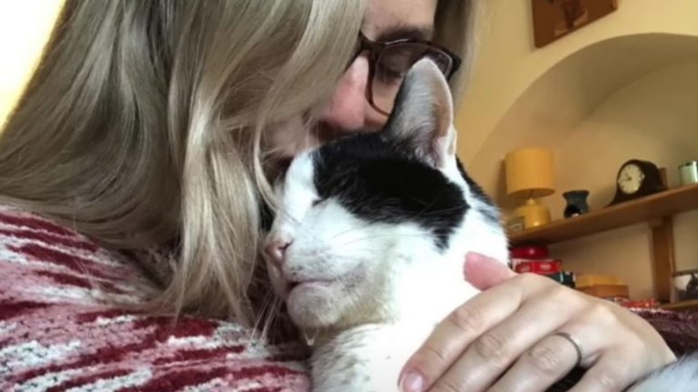 Girl and her newly adopted cat