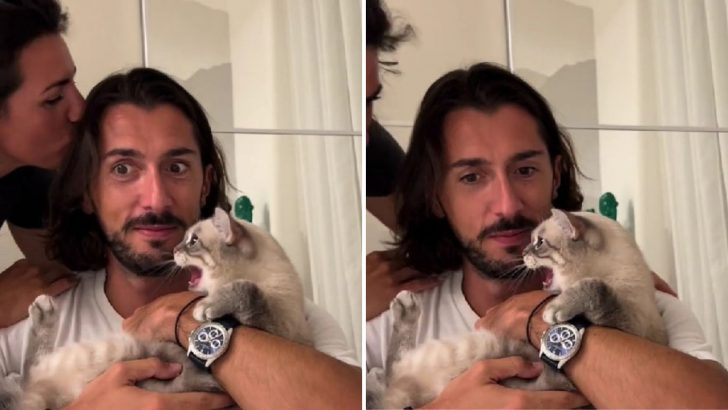 You’ll Never Guess How This Cat Reacted After A Woman Touched Her Human Dad