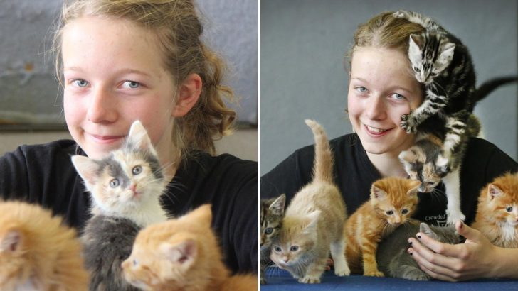 Girl Uses Birthday Money To Rescue 14 Abandoned Kittens