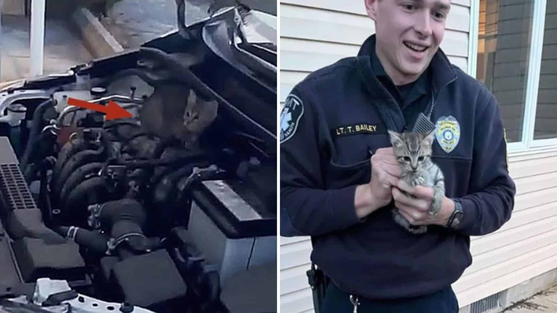 policeman and kitten