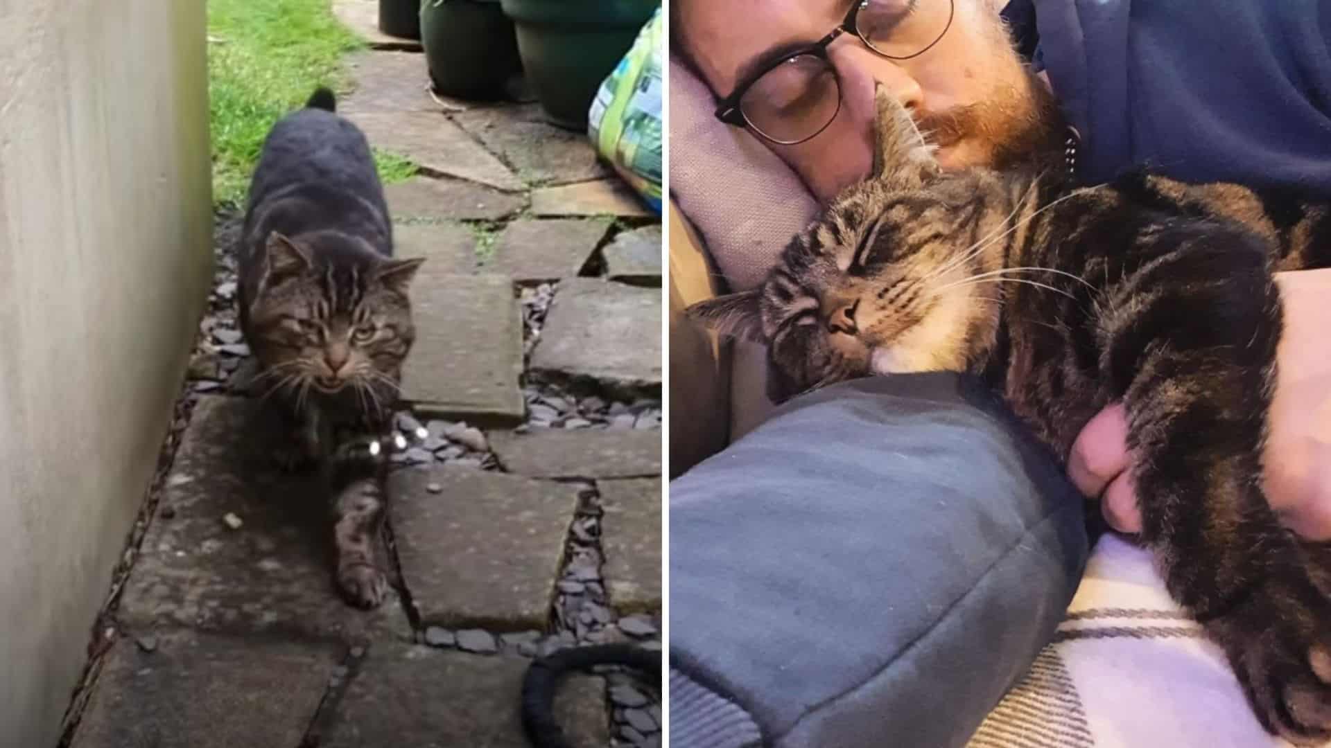 man accepted stray cat