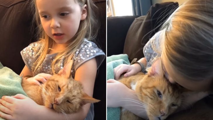 Heartbreaking Video Captures A Little Girl Singing To Her Cherished Cat For The Last Time