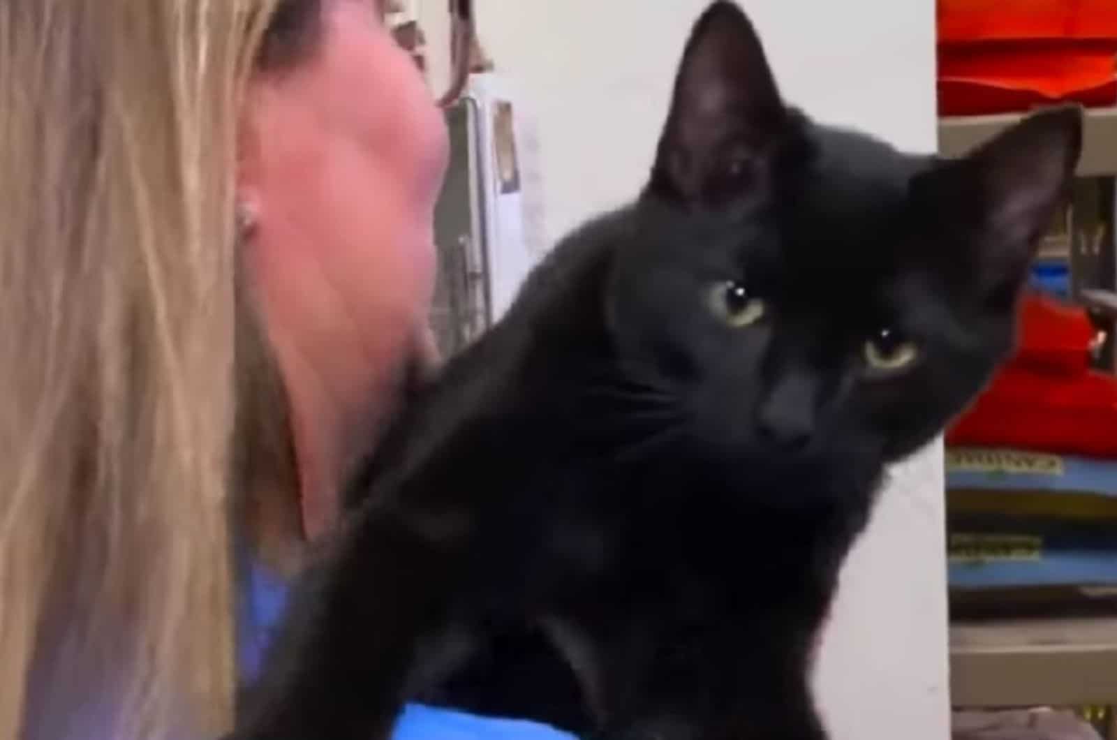 a black cat with green eyes on a woman's shoulder