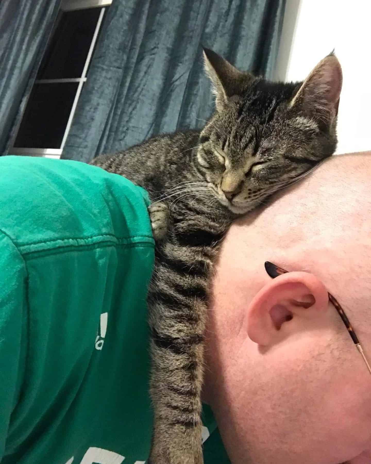 a cat sleeps on a man's head