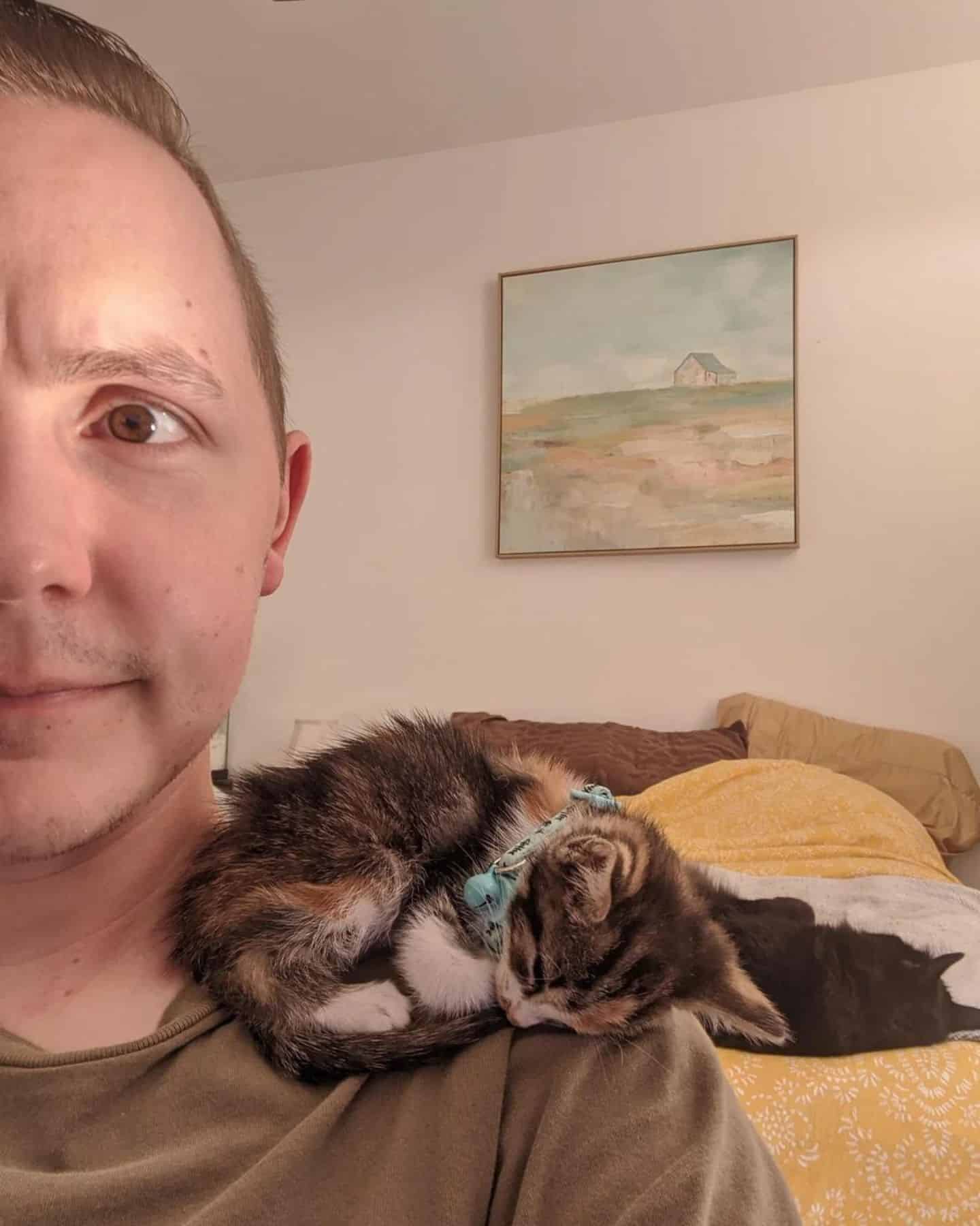 adorable kitten on man's shoulder