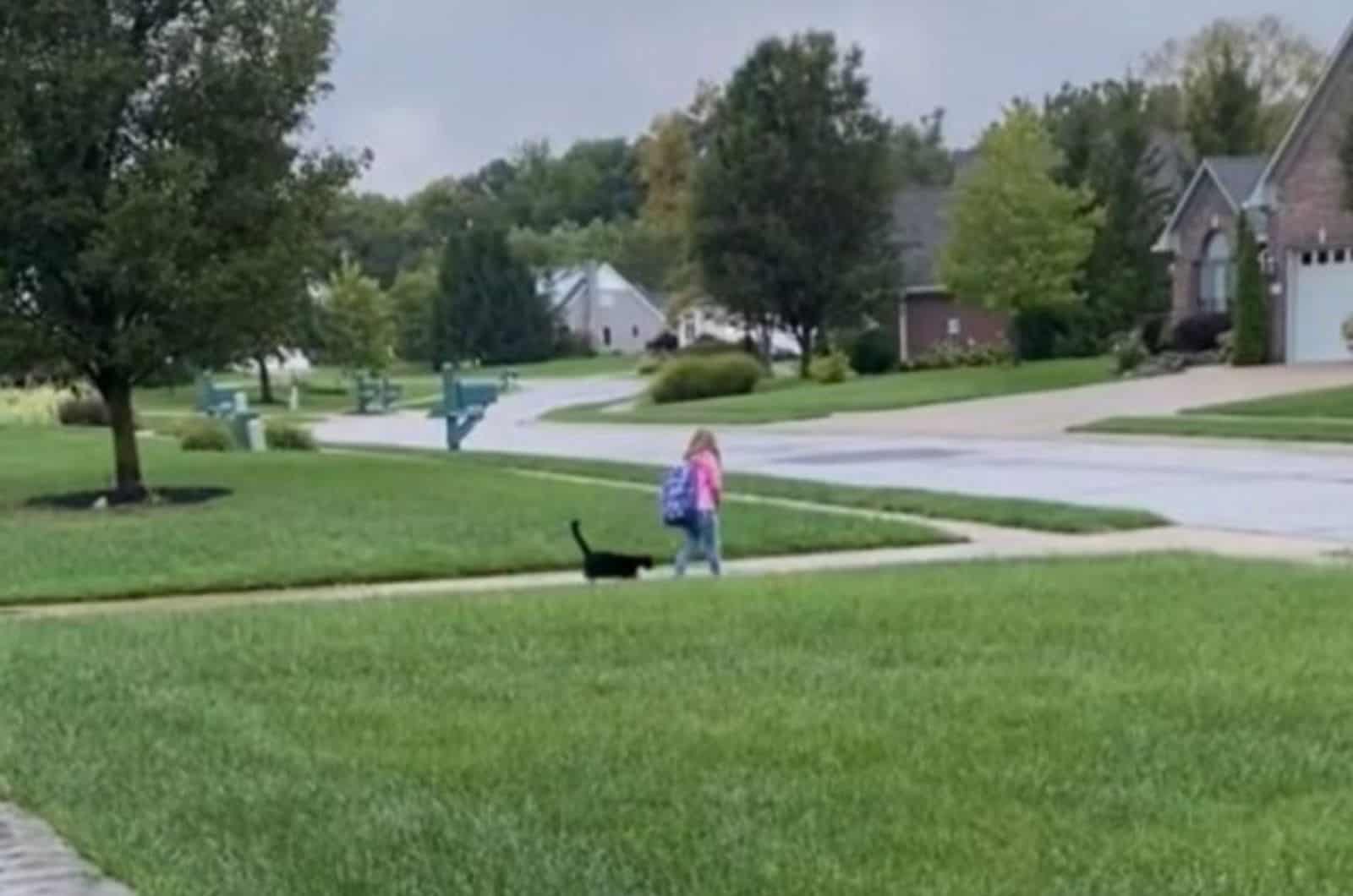 cat and little girl walking
