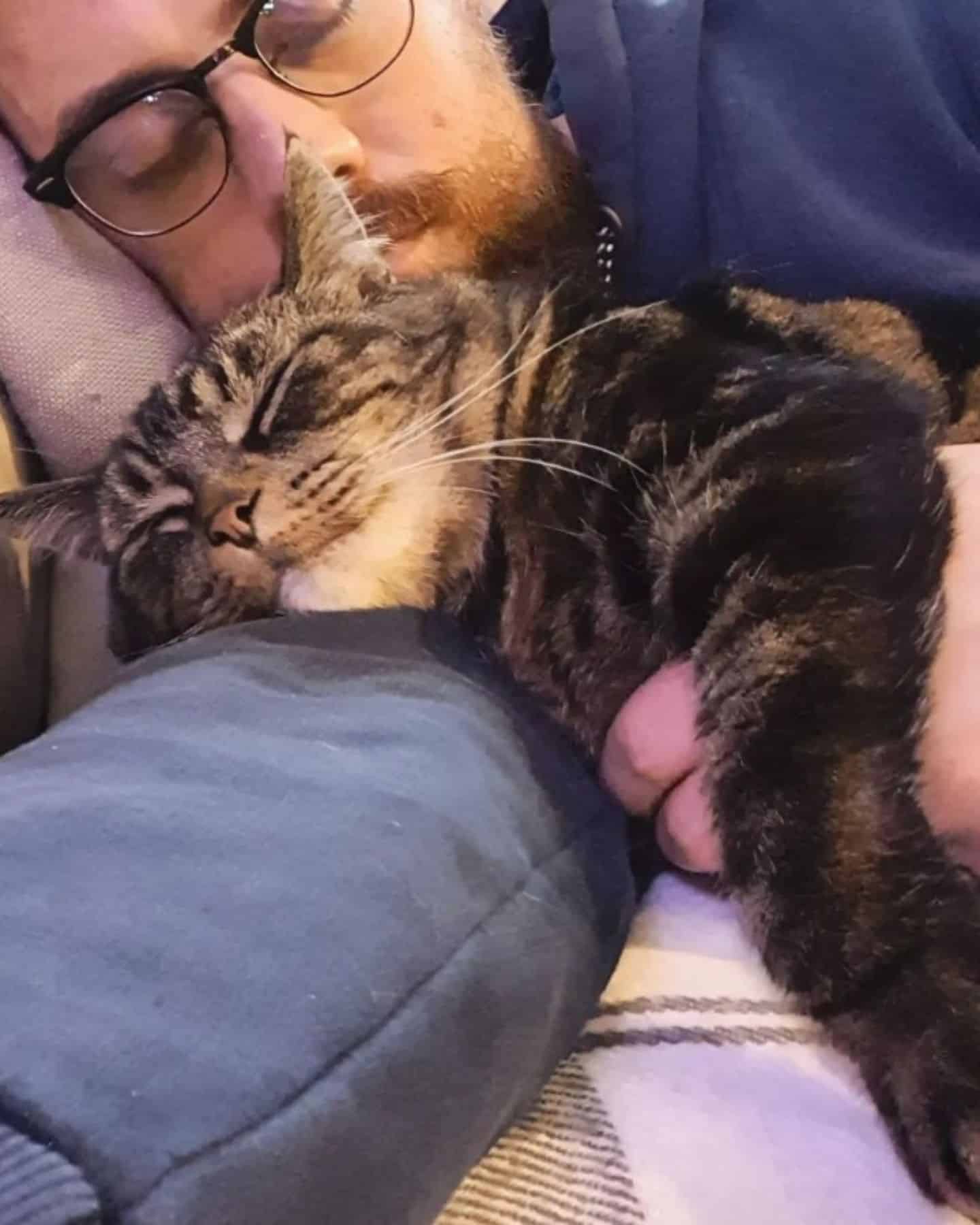 cat sleeping with her owner