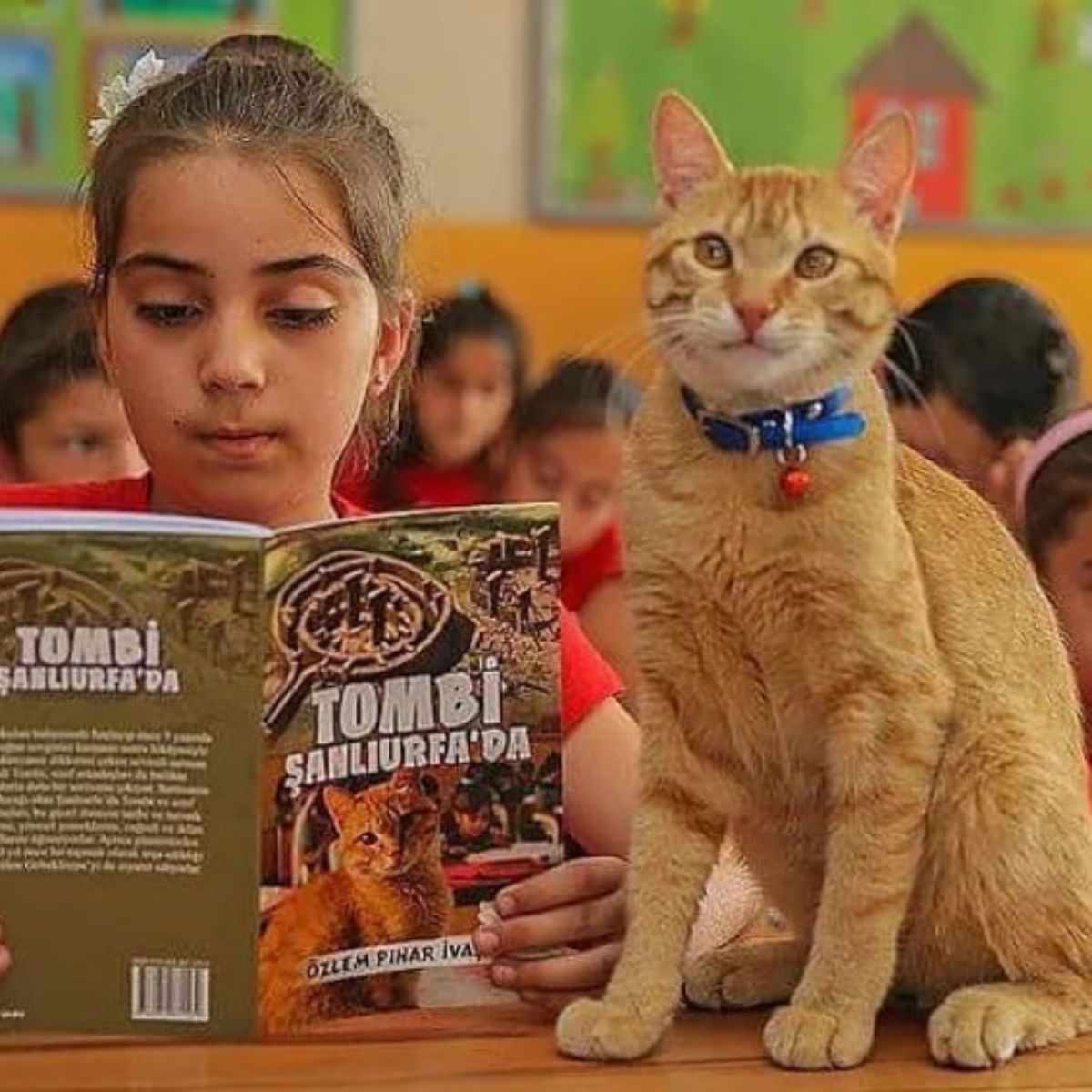 cat with a student