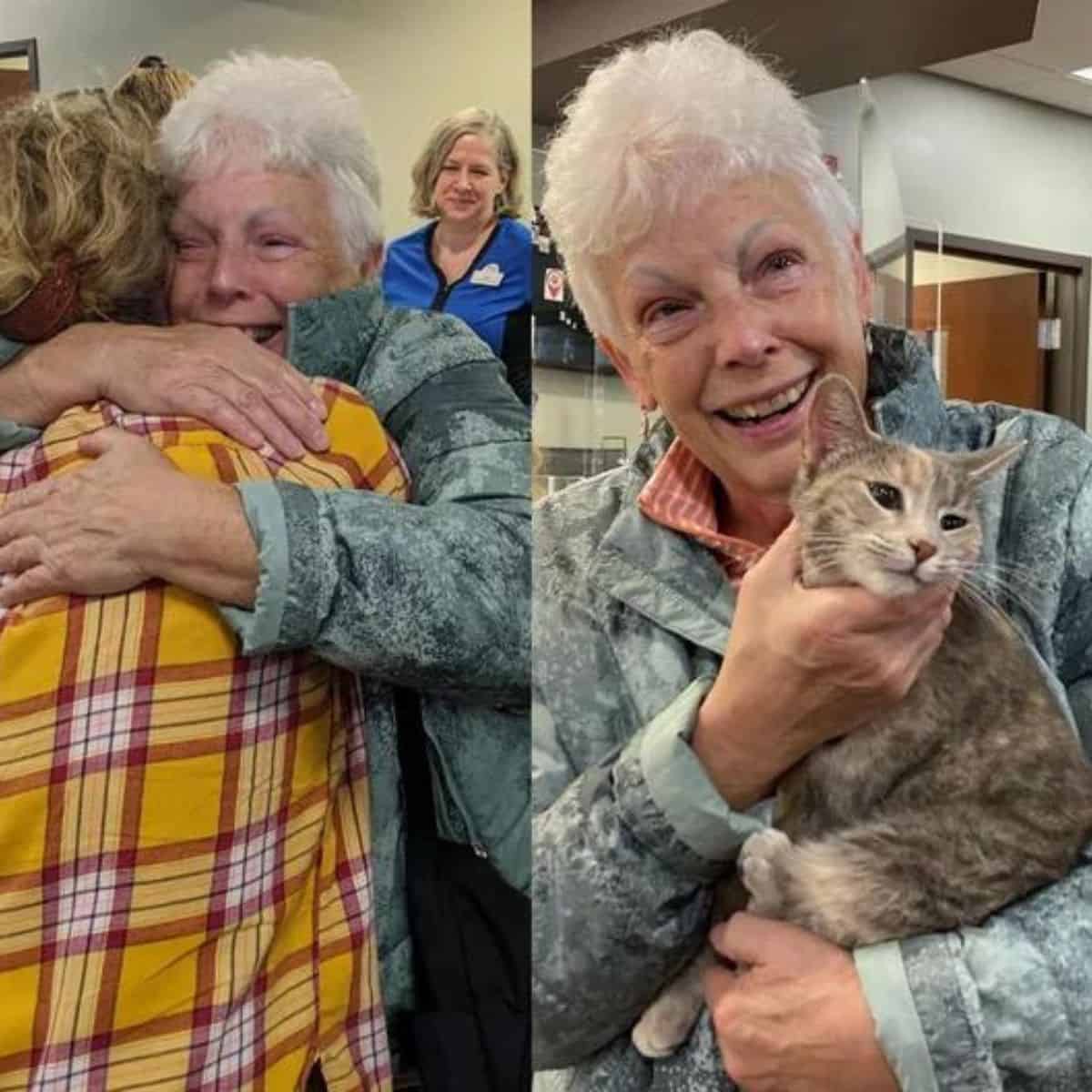 granny and grey cat