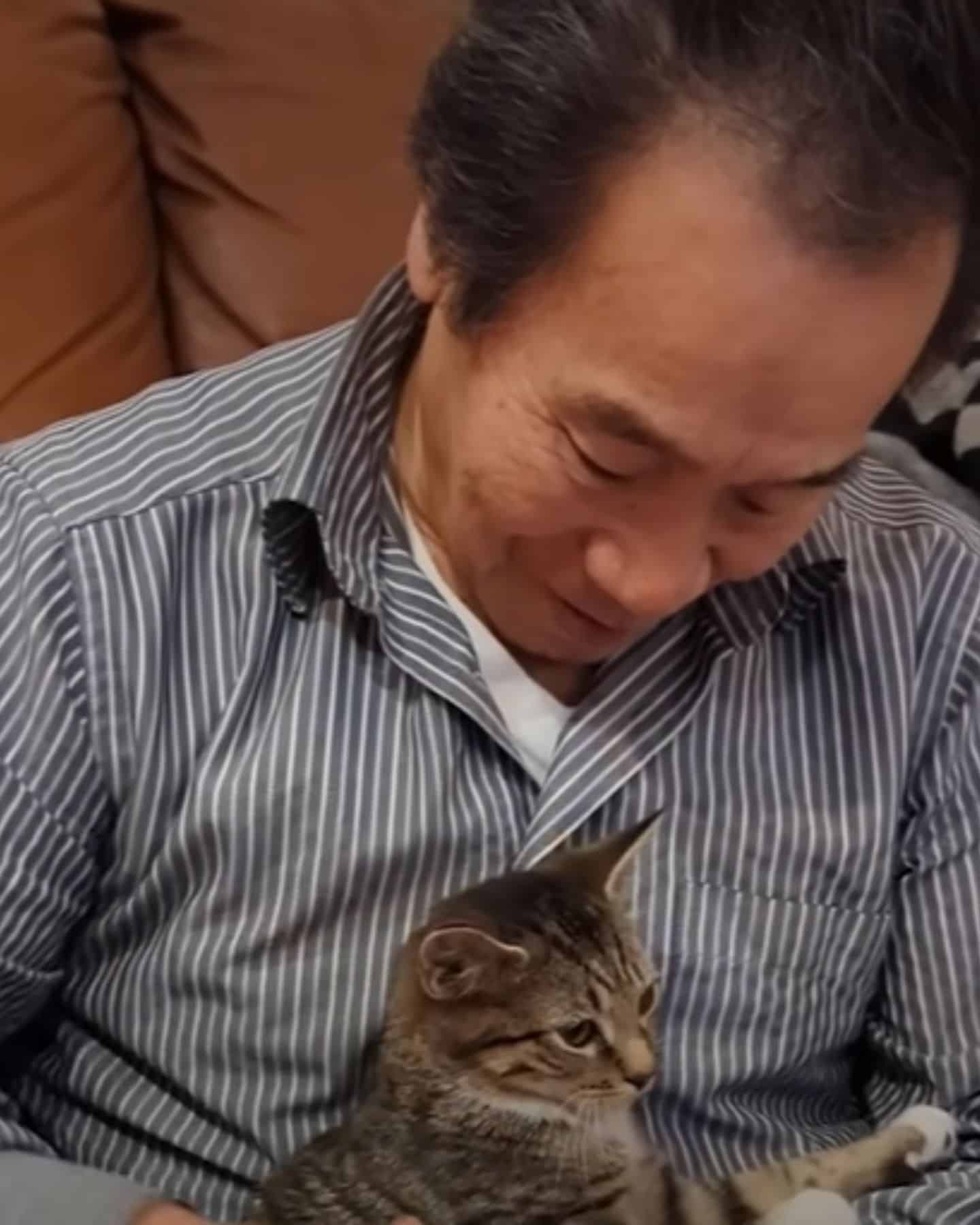guy and grey kitten