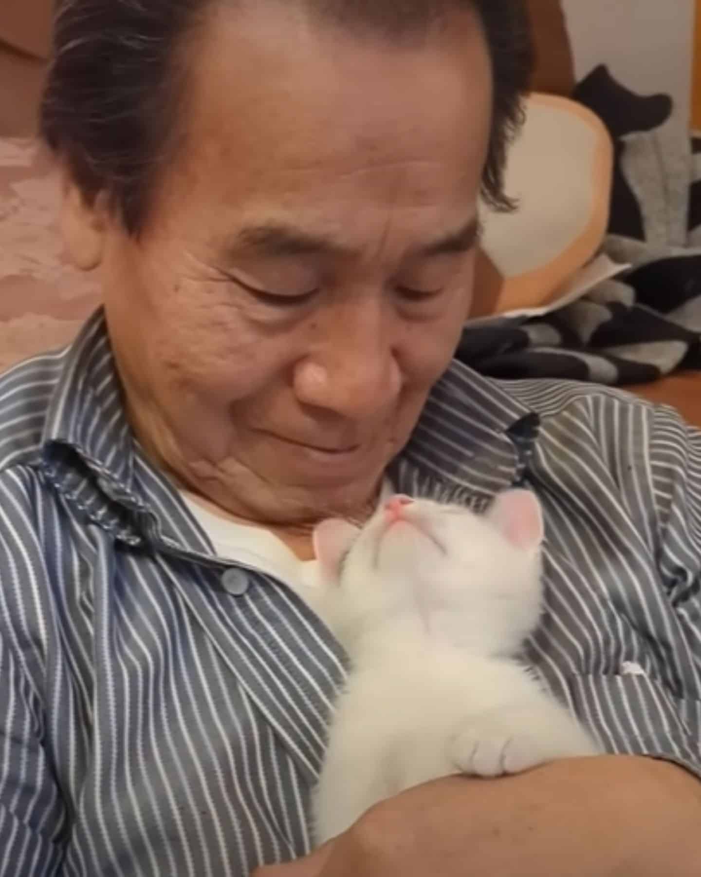 old guy and kitten