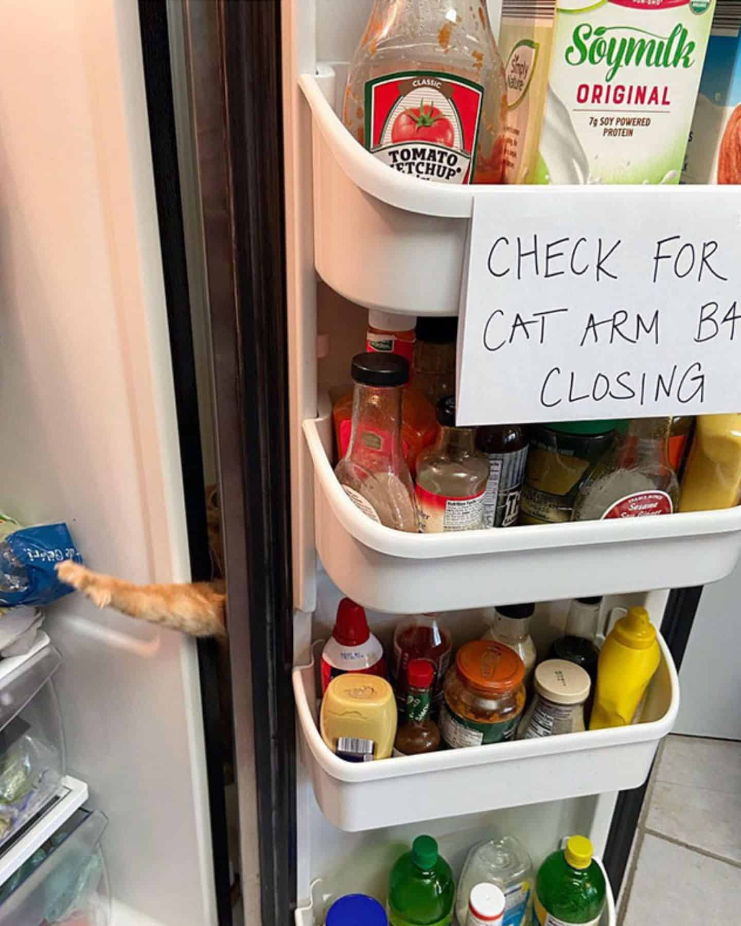 open fridge with a message