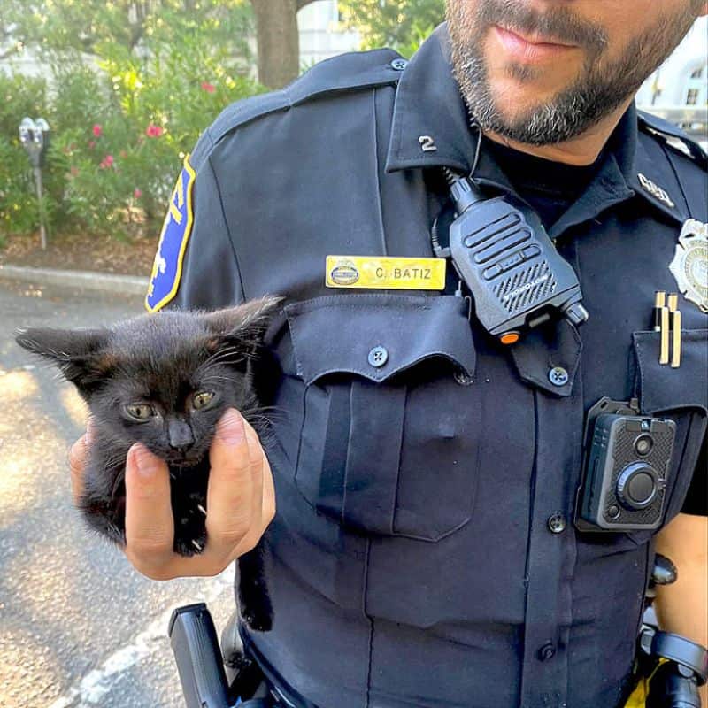 police officer holding tiny black cat