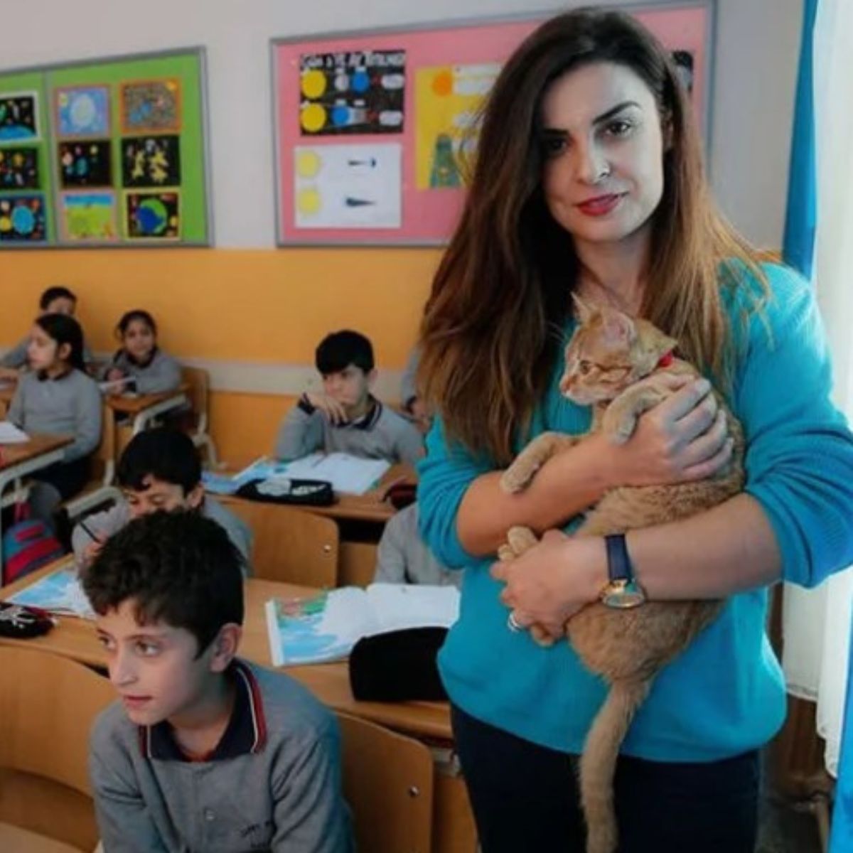 teacher holding a cat