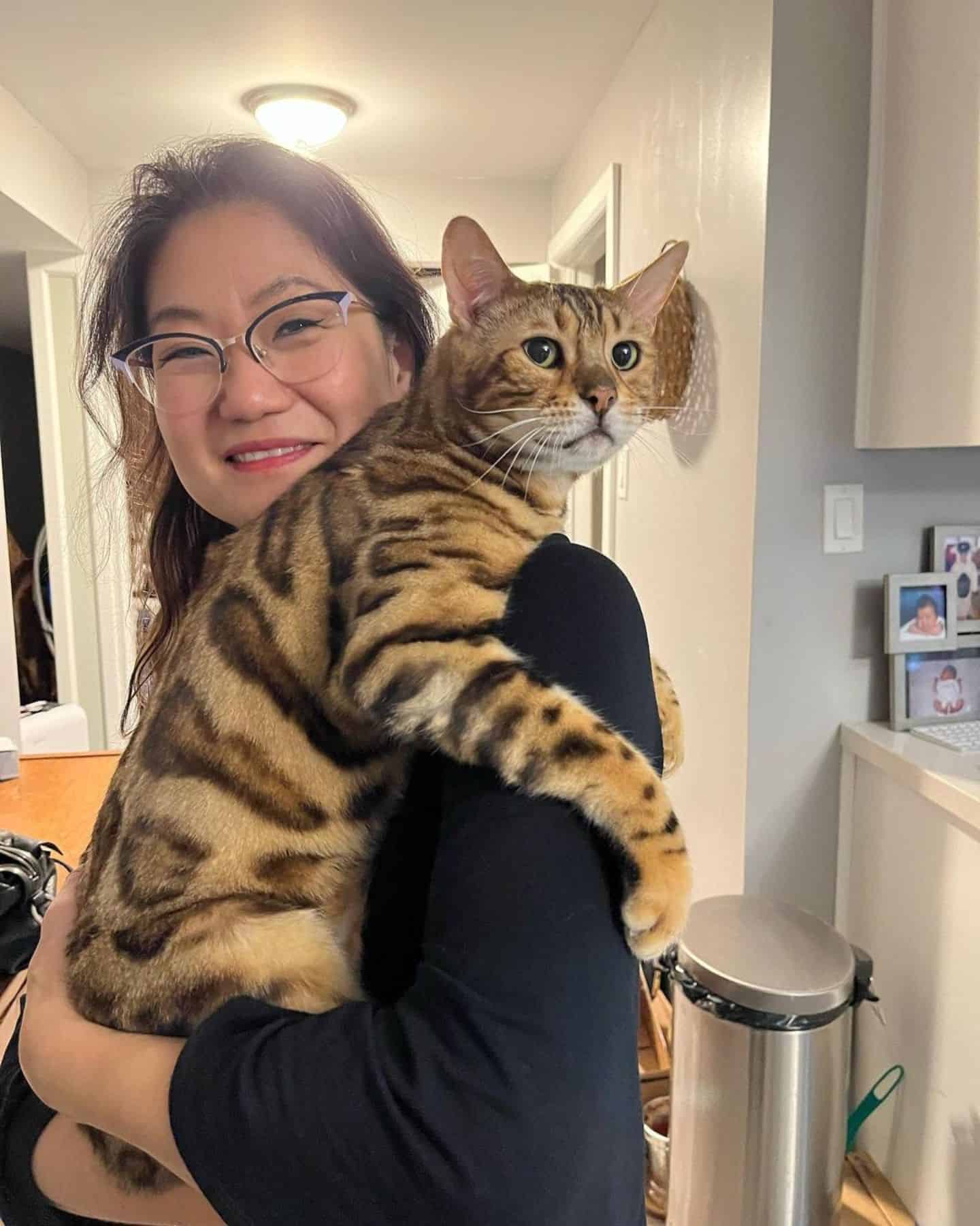 woman and cat that looks like a tiger