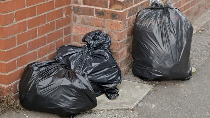 A Kind-Hearted Individual Notices A Mysterious Black Bin Bag Moving And Decides To Investigate