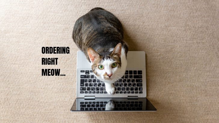 Cat Owners Are Obsessed With These 17 Genius Products