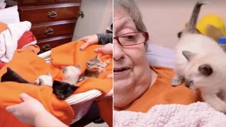 This Hospice Patient Gets Her Last Wish Fulfilled And You Won’t Believe What It is