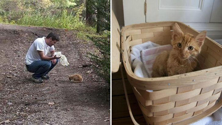 Virginia Filmmaker Discovers Abandoned Kitten In The Woods And Immediately Takes Action