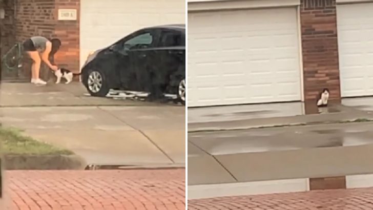 Texas Woman Stunned To See Her Neighbors Move Out And Leave Their Seven-Year-Old Cat Behind