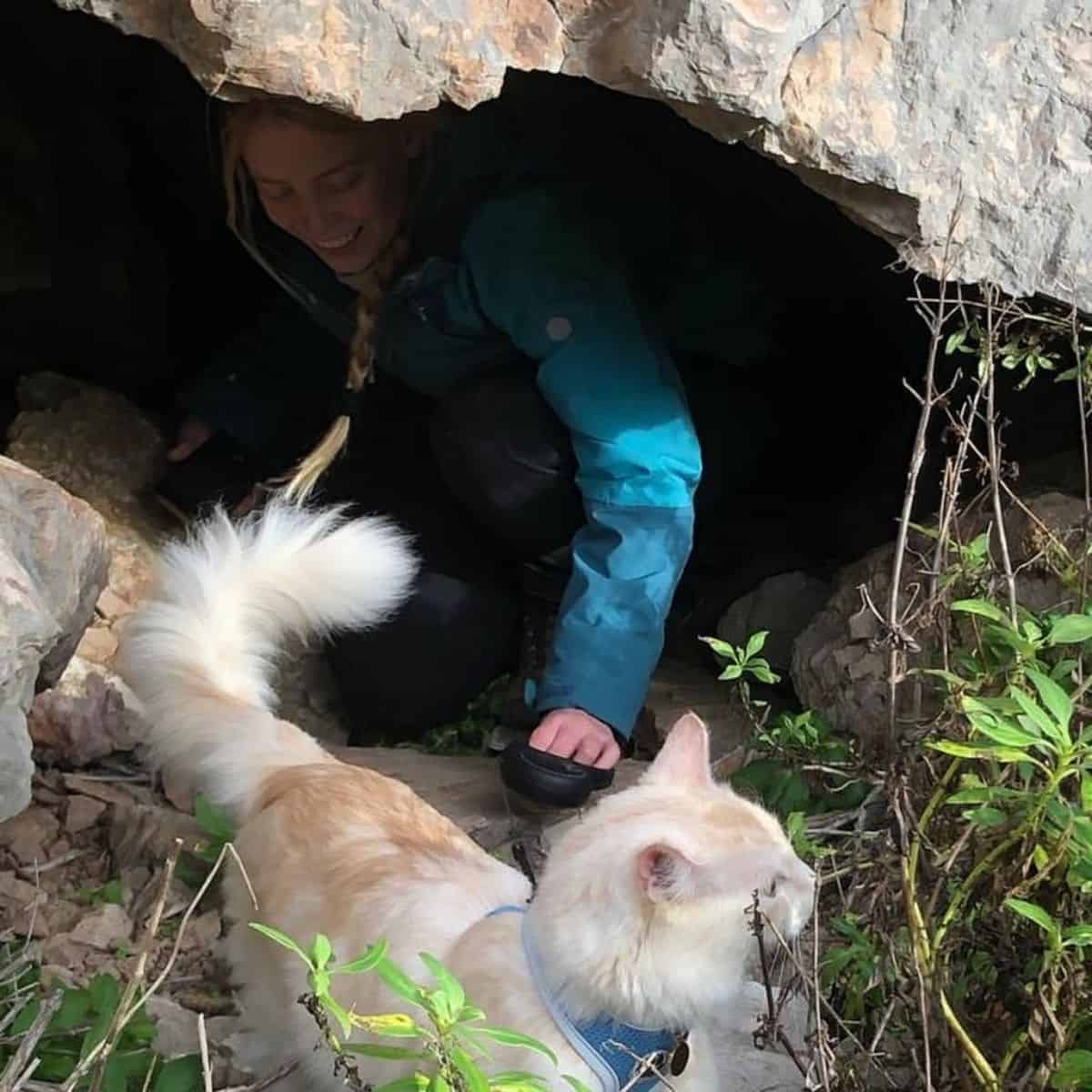 cat hiking with owner