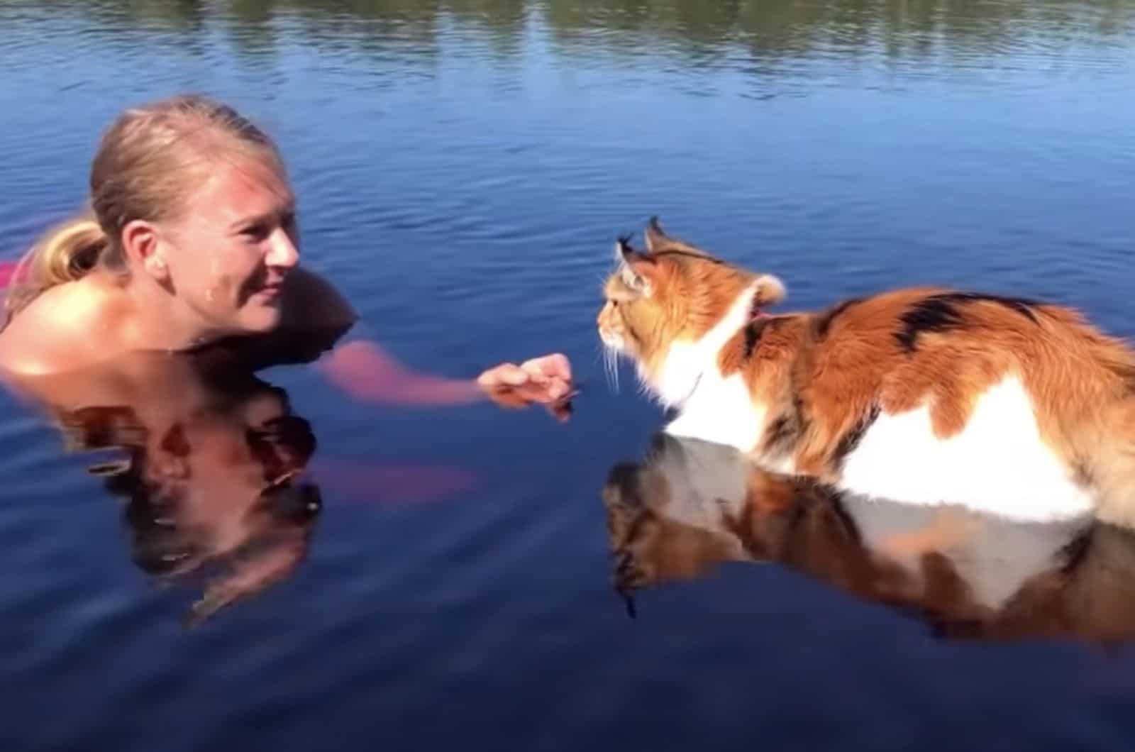 cat in the water with owner