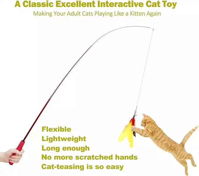 Retractable Wand Feather Toy