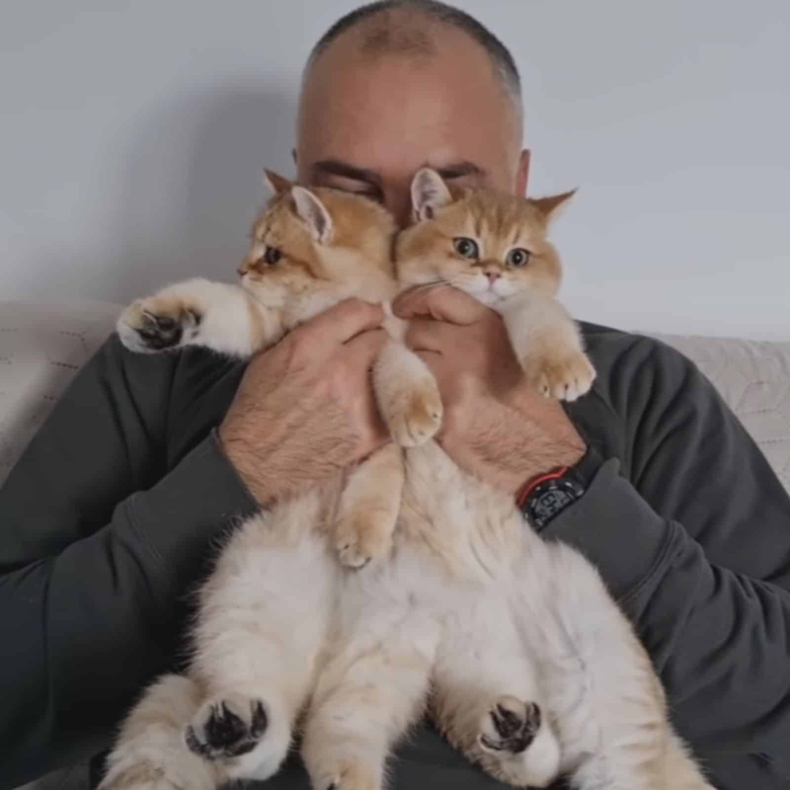 grandpa holding two kittens