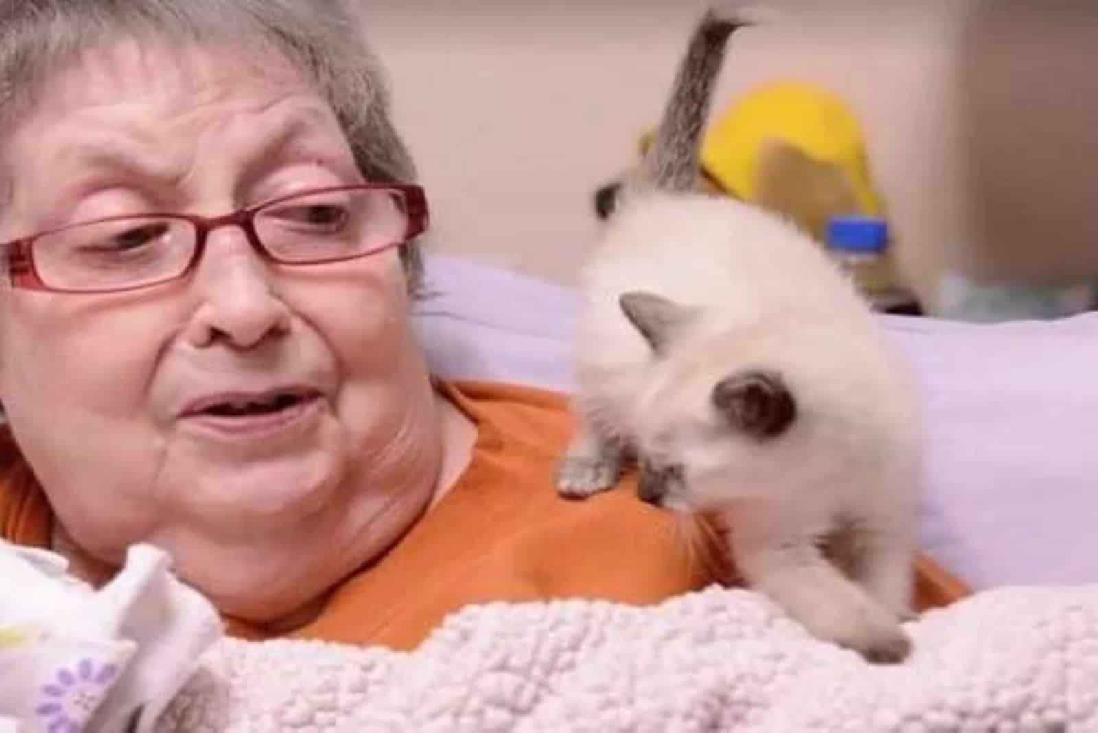 kitten on an old lady shoulder