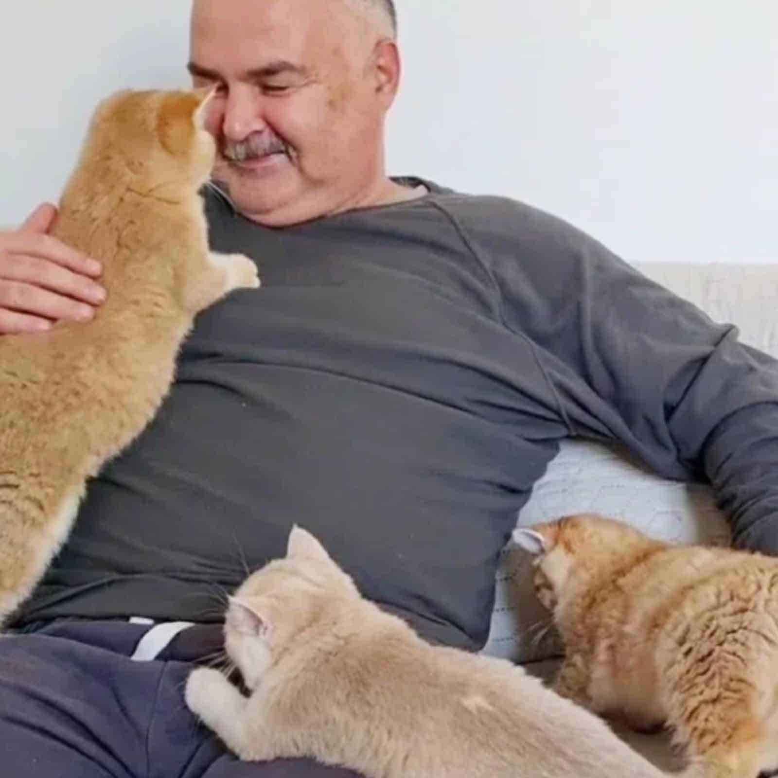 old guy and three cats
