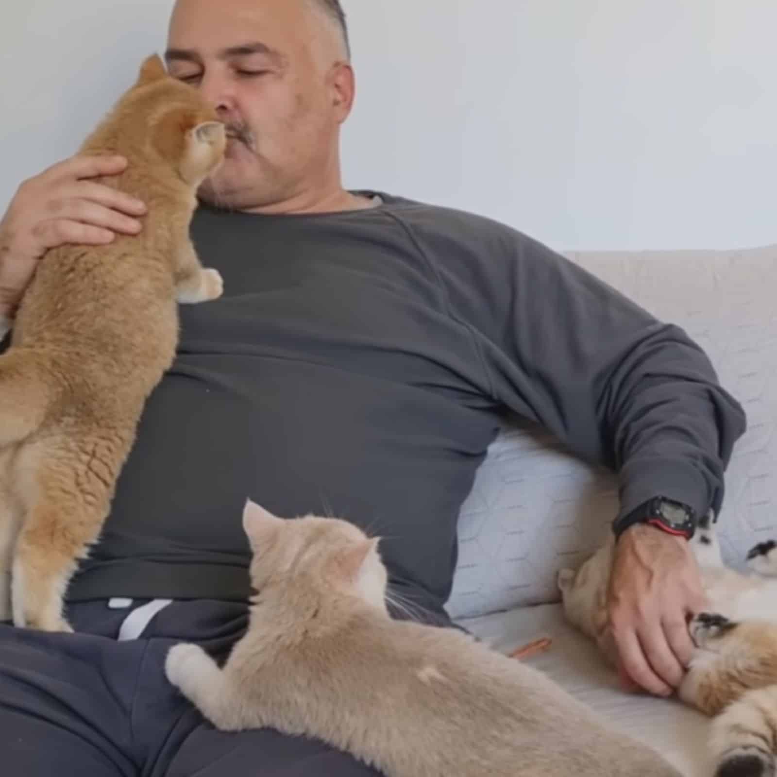 owner and his three cats