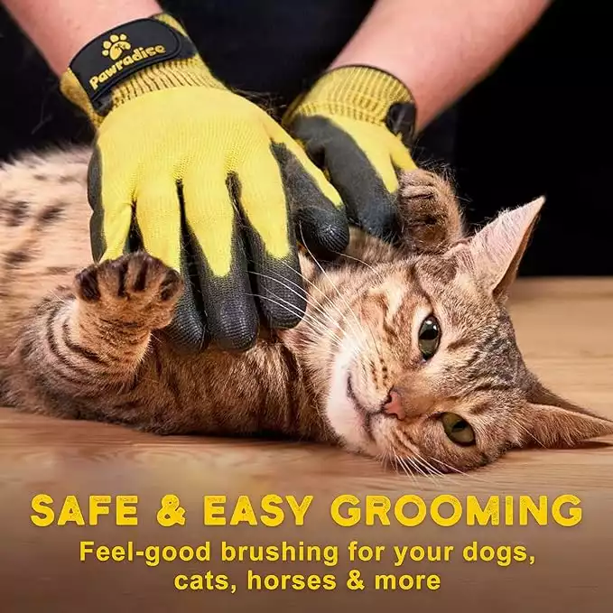 Pet Grooming And Bathing Gloves