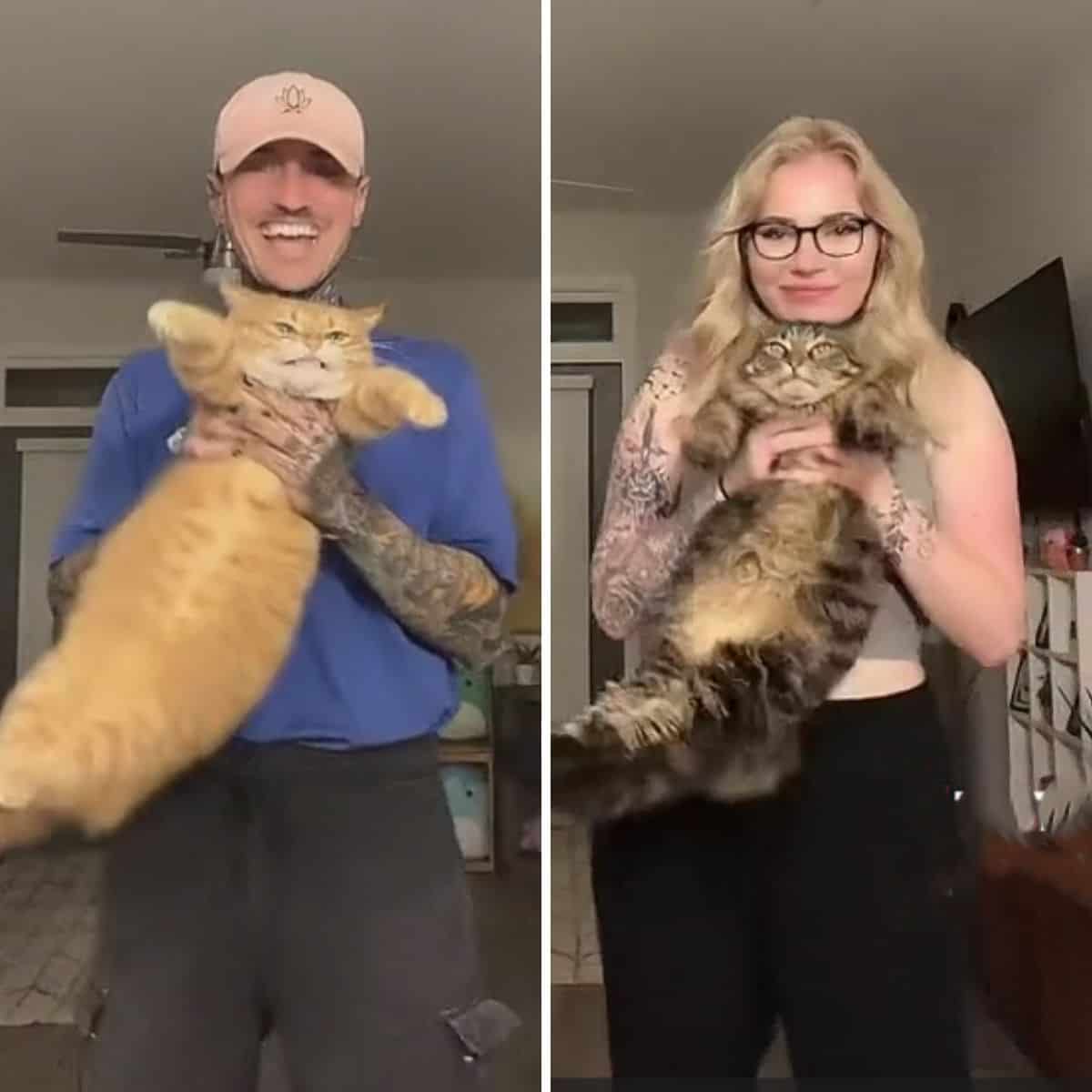 photos of man and woman each holding a cat