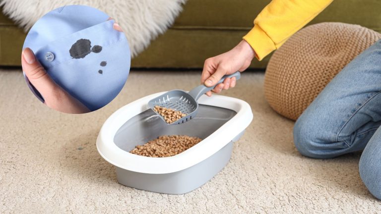 woman cleaning cat litter