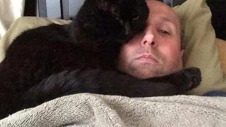 Cat Spent Most Of His Life As A Stray Until This Man Changed His Life