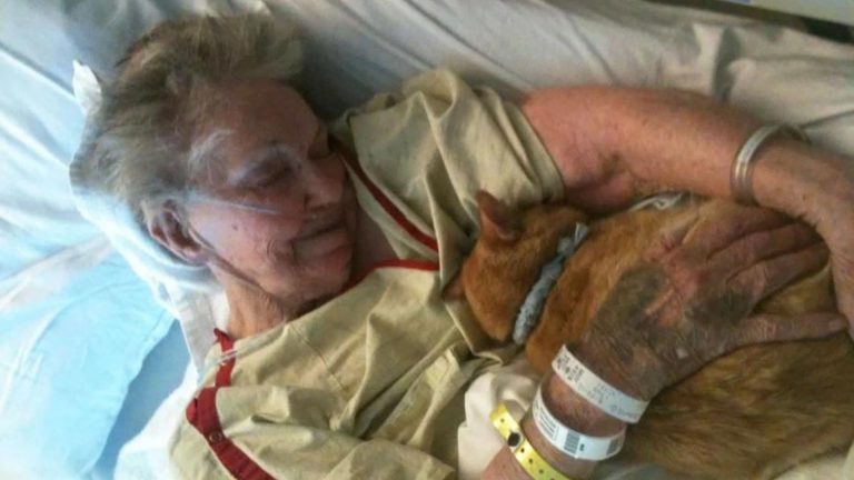 senior woman saying goodbye to her cat