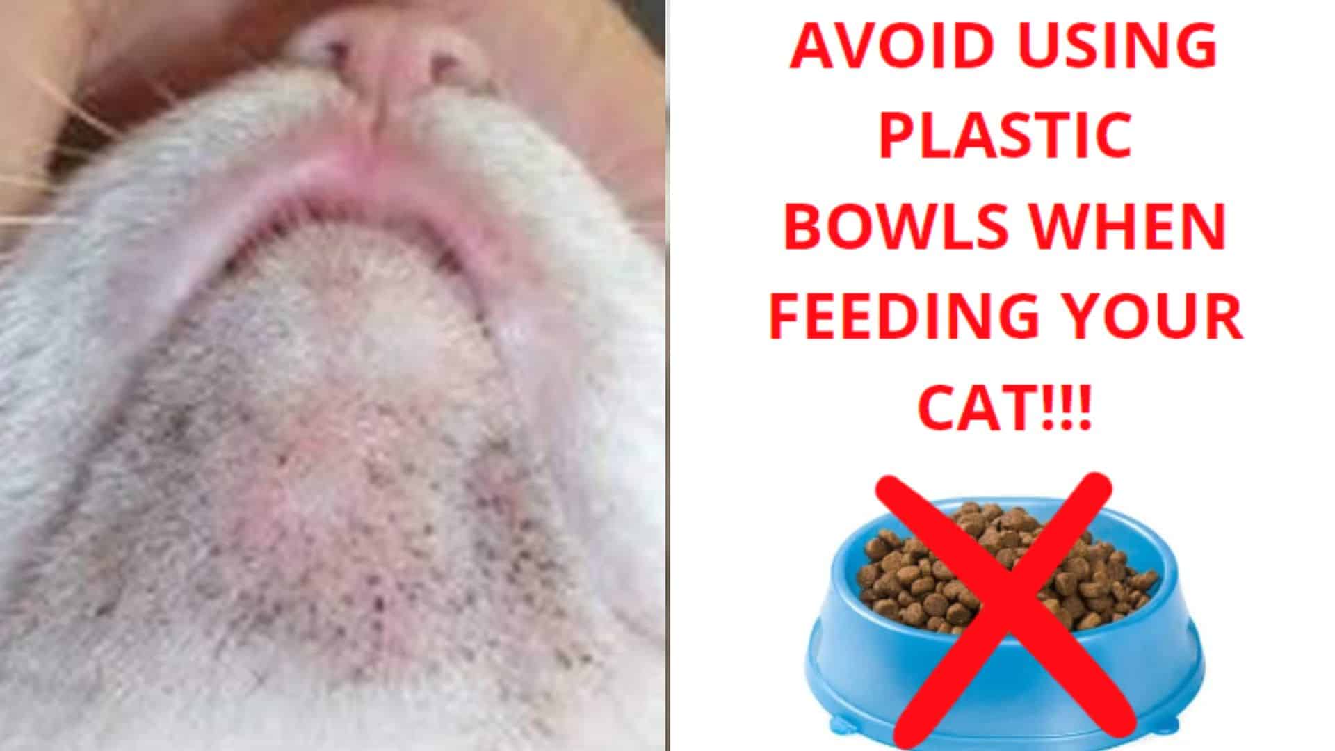 avoid using plastic bowls
