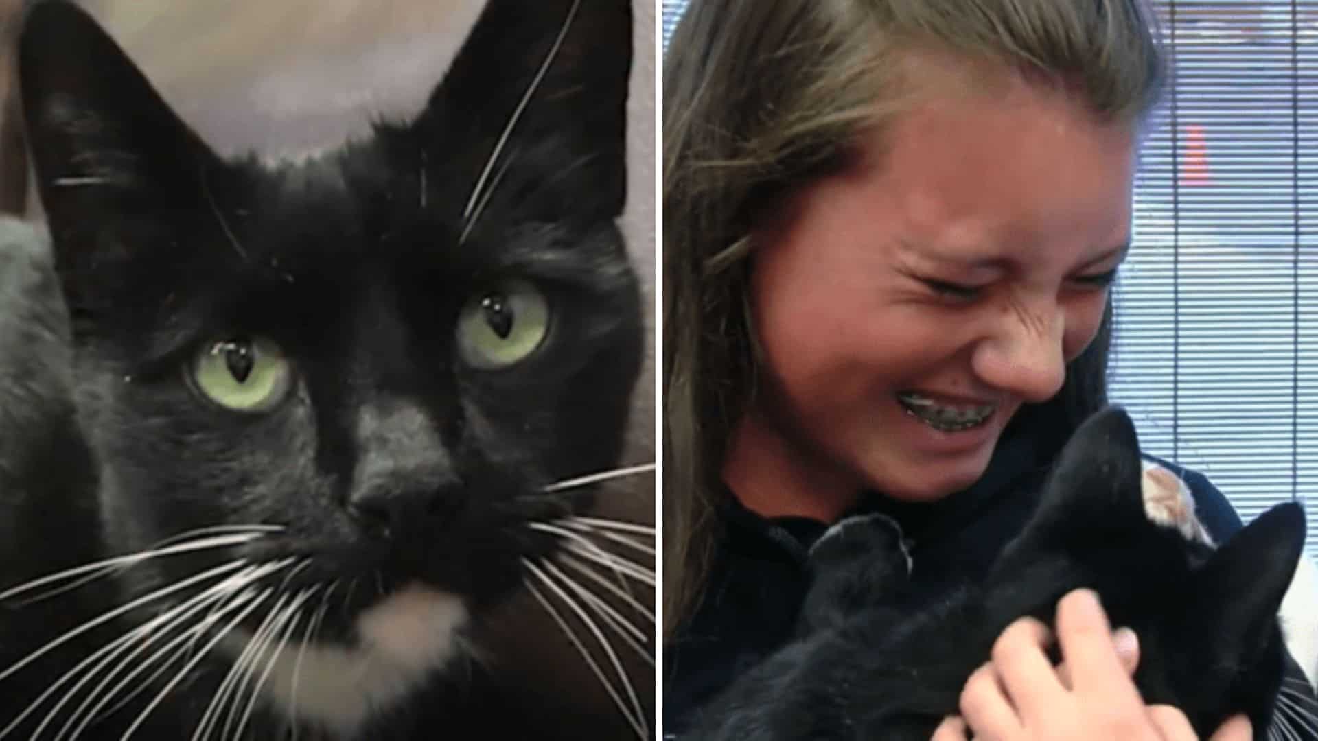 woman holding a cat