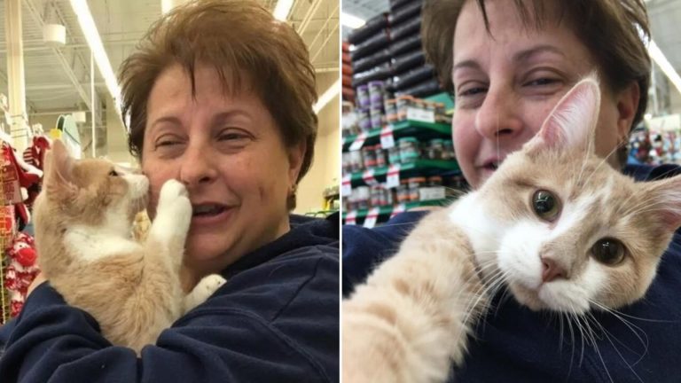 woman holding a kitten