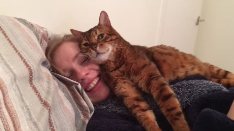 cat lying on woman