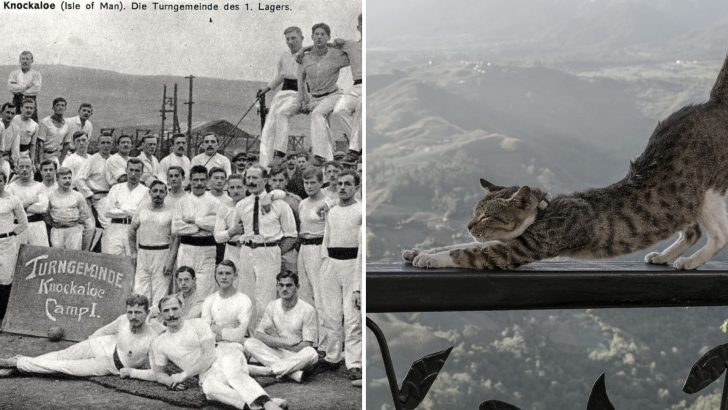 Prisoner Observes Cats And Creates A Worldwide Famous Mind-Body Exercise