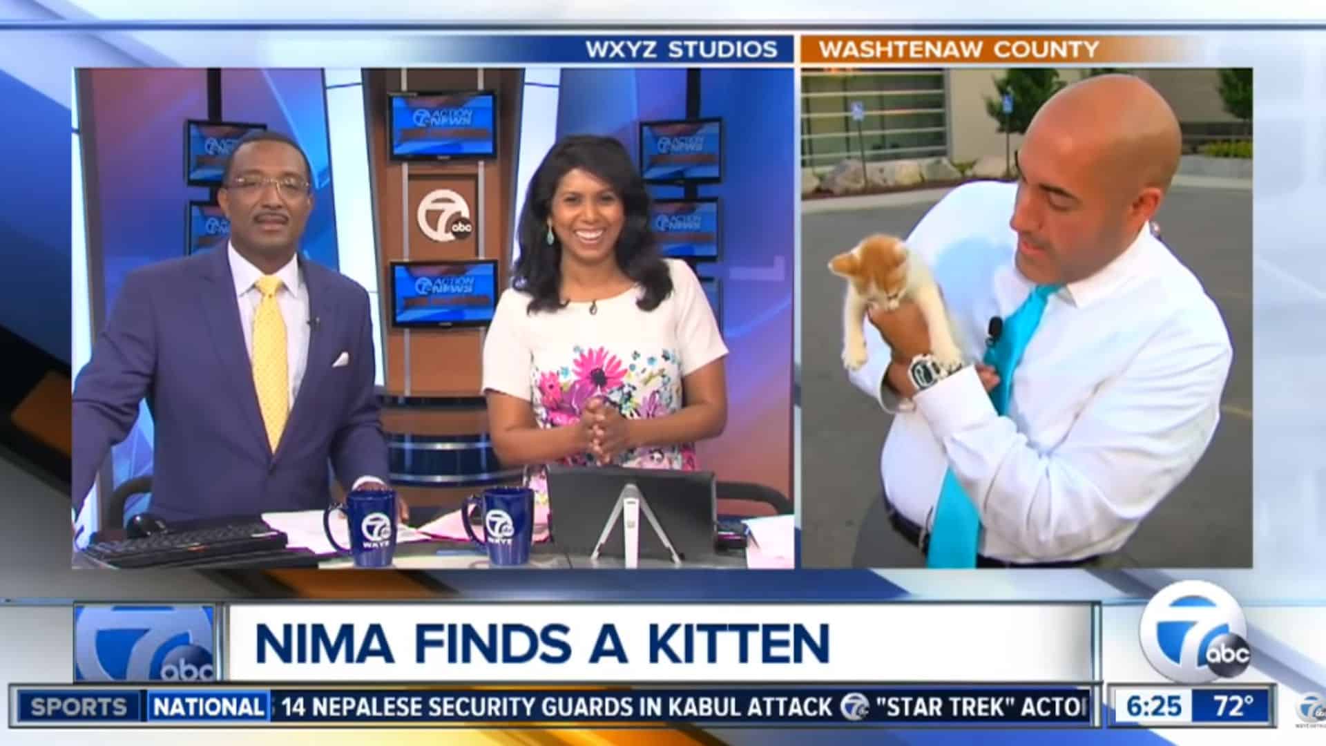 kitten interrupts reporters live