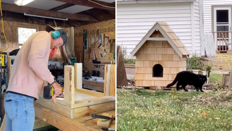 insulated winter house for stray cat