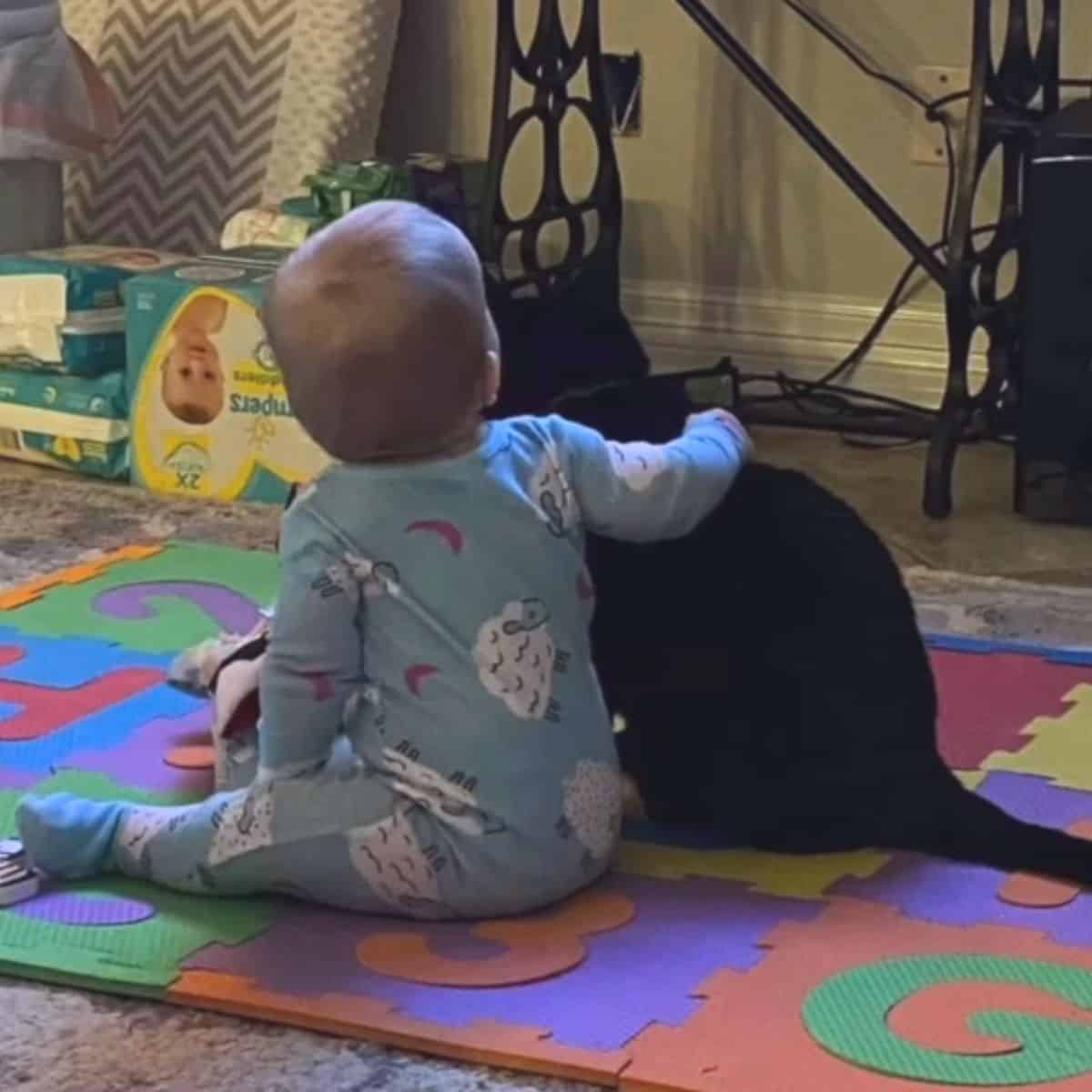baby hugging a cat
