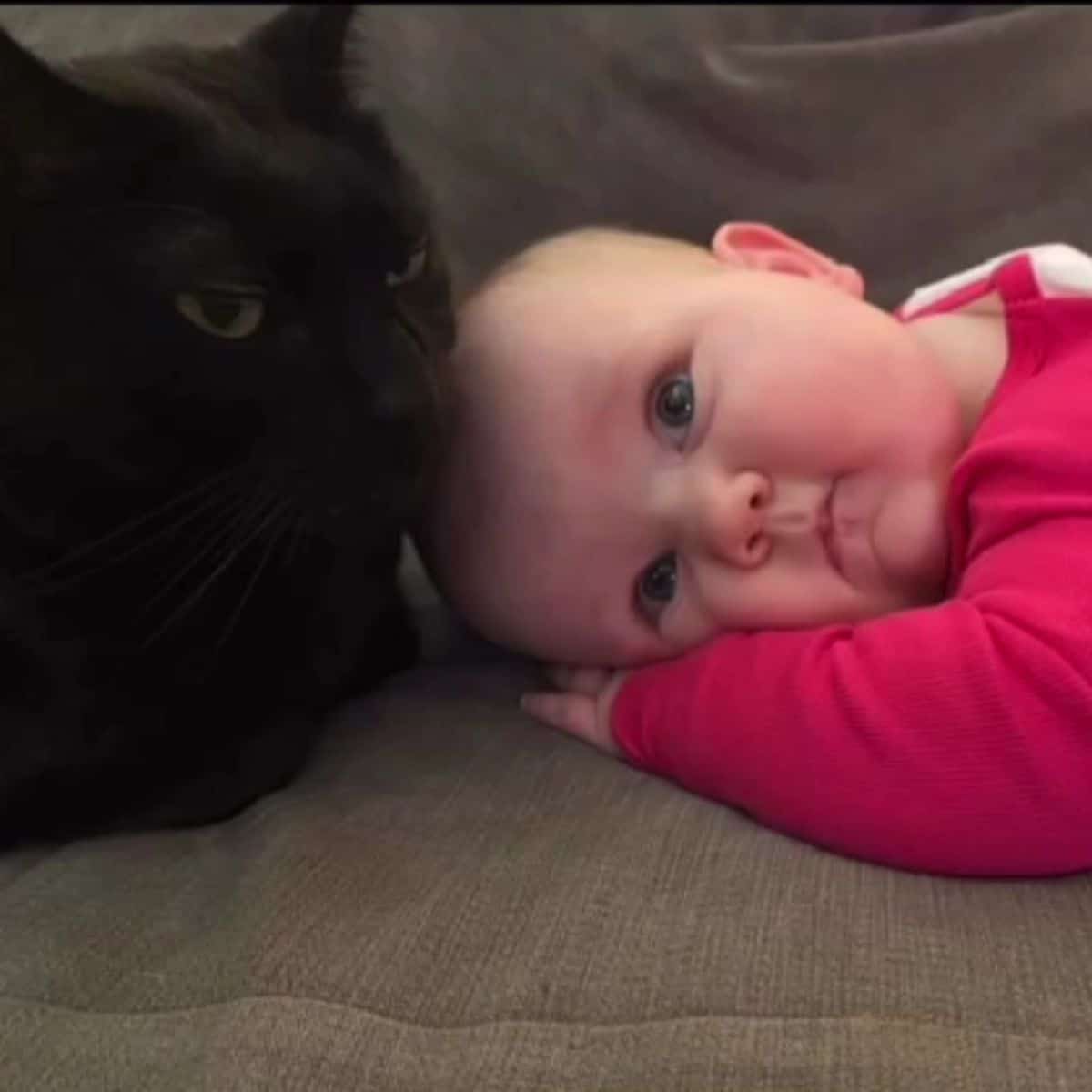 baby with black cat