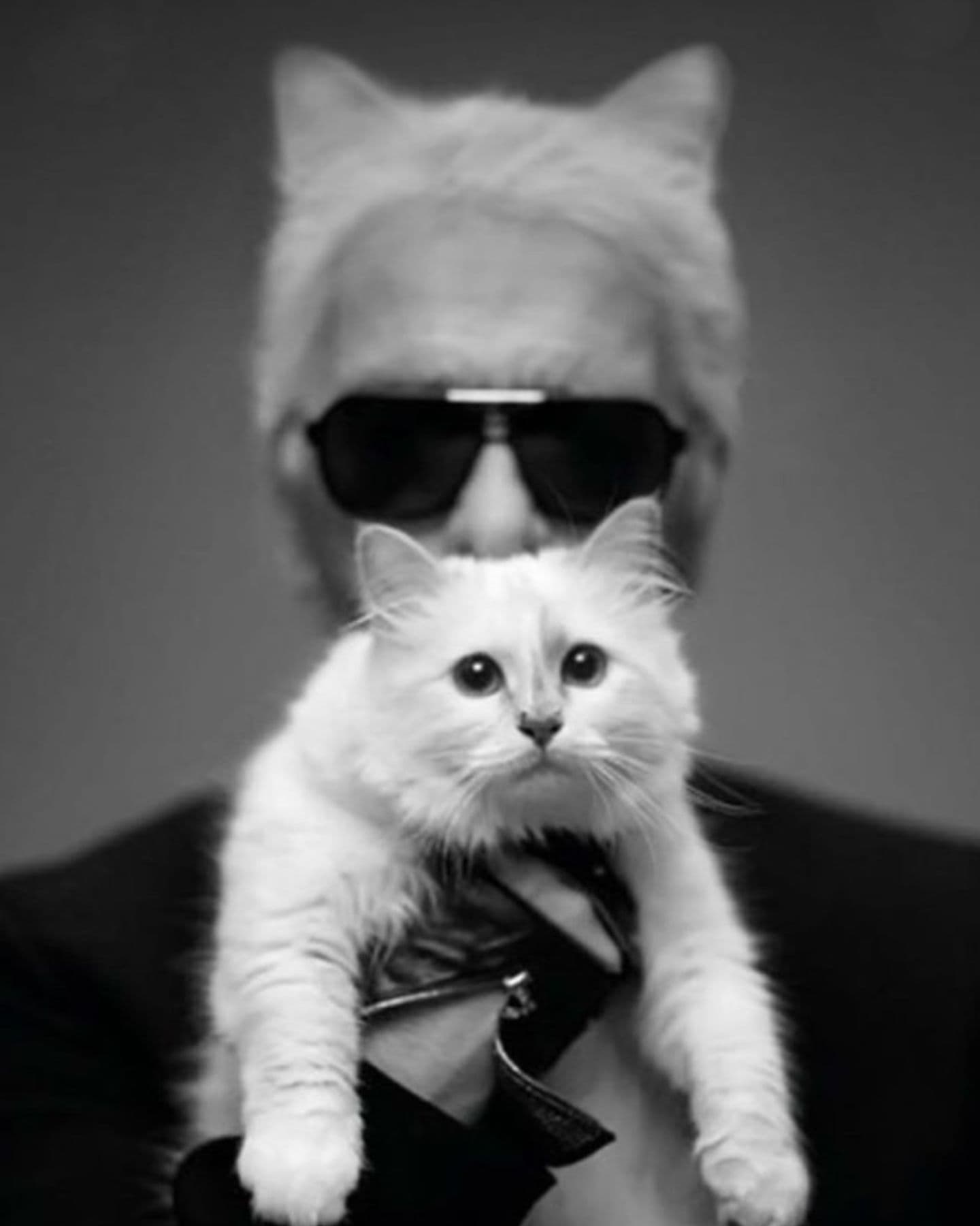 black and white photo of karl lagerfeld and cat