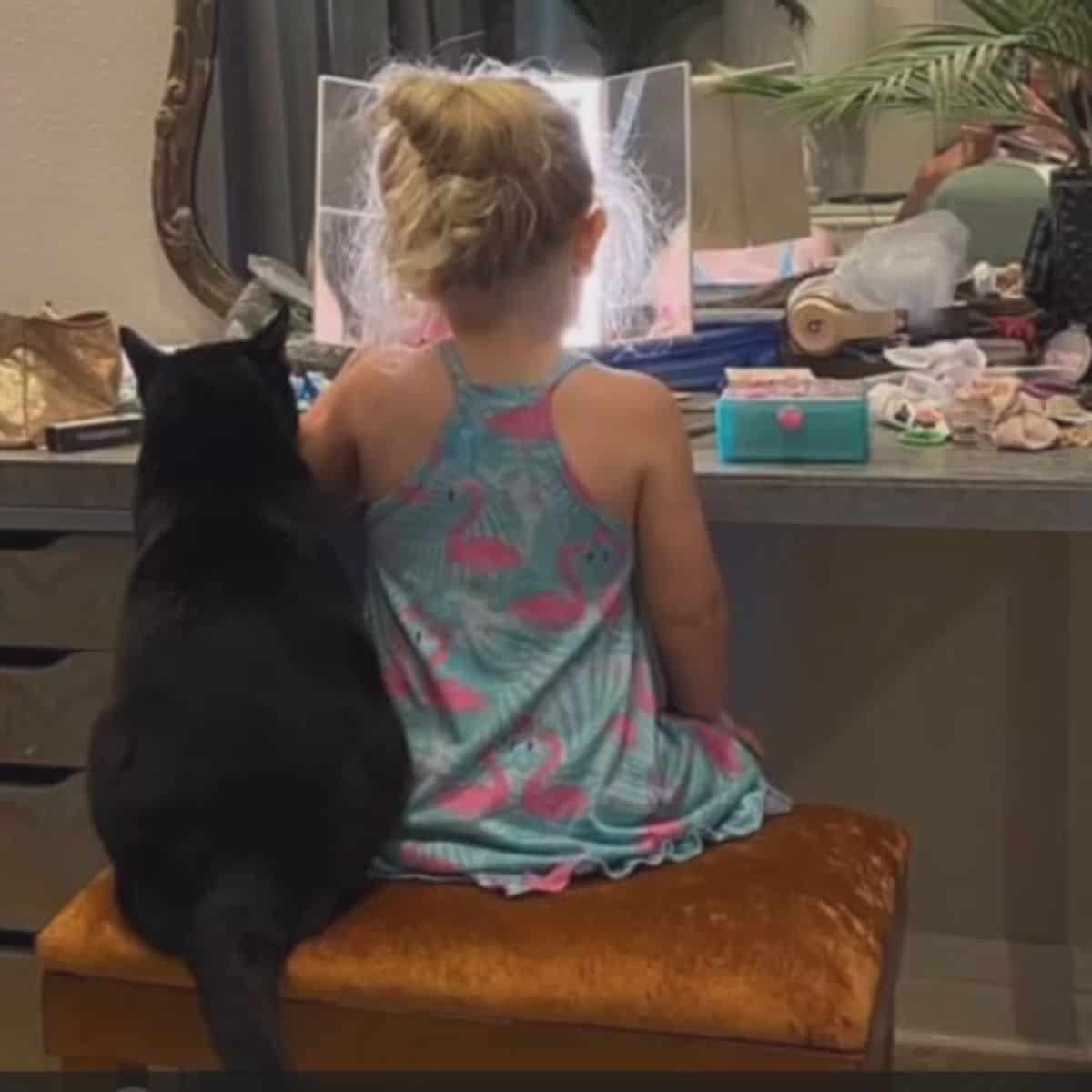 black cat sitting with little girl