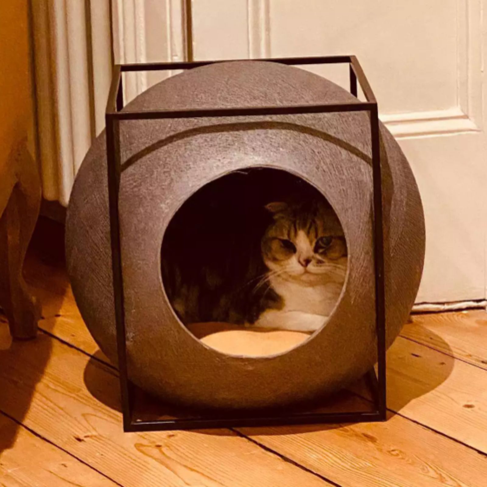cat lying inside a ball shaped cat house
