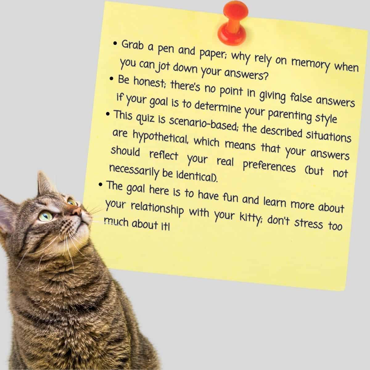 cat with notes
