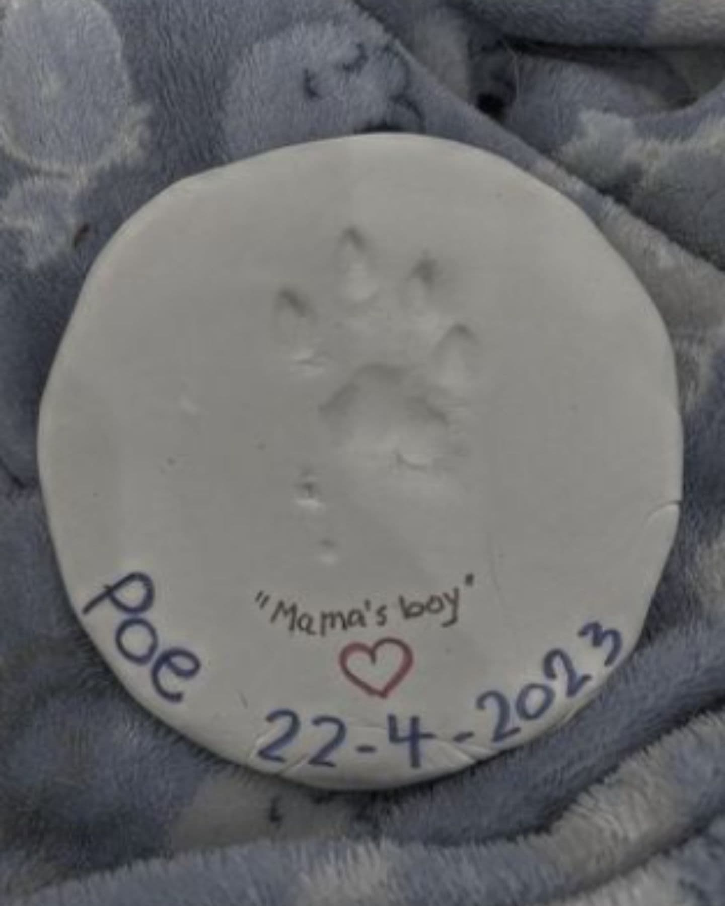 cats paw engraved